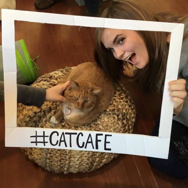 1620355_10153244903262513_3611270474634697276_n